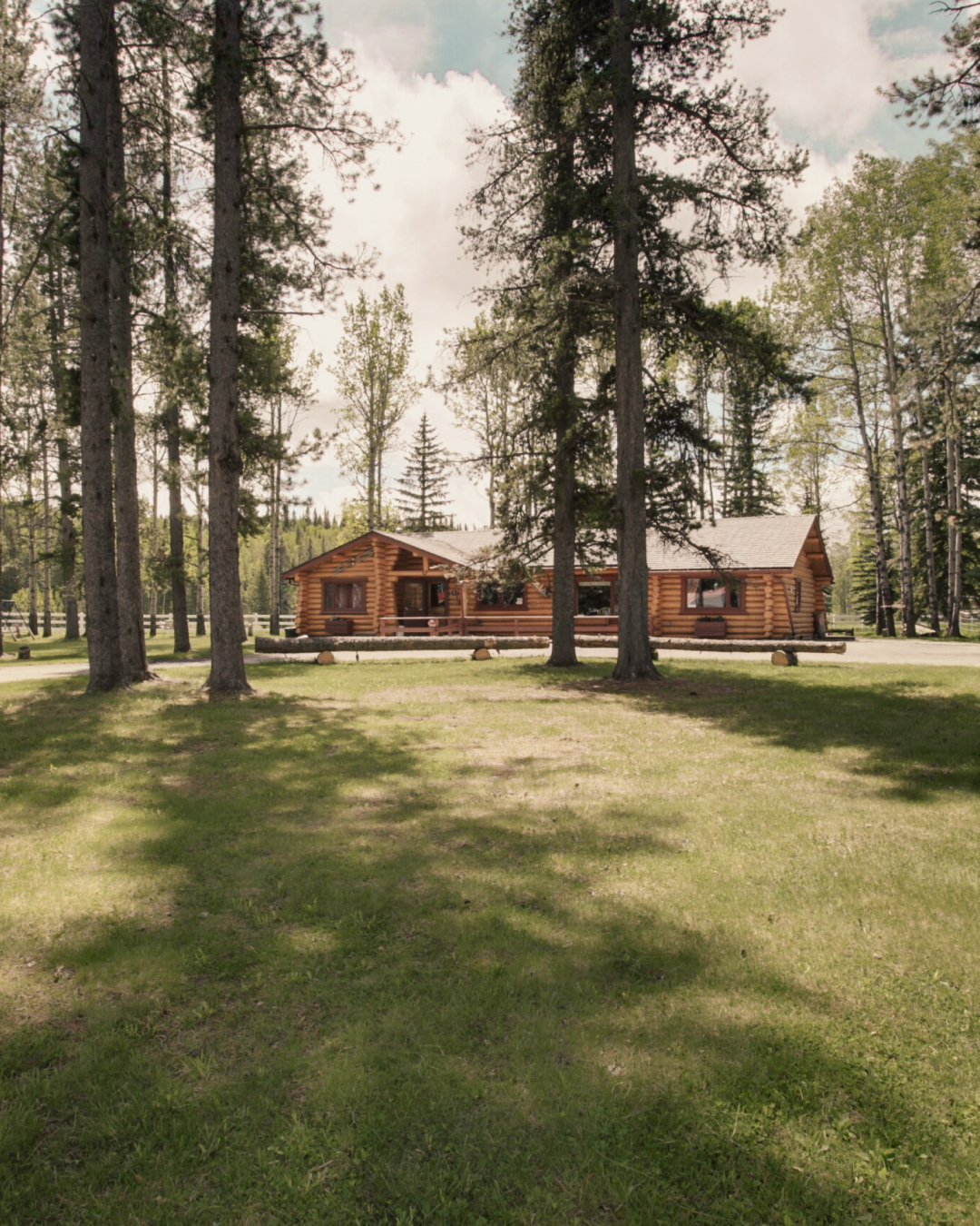 Folk Tree Lodge among tall pines, with a sunny lawn in front