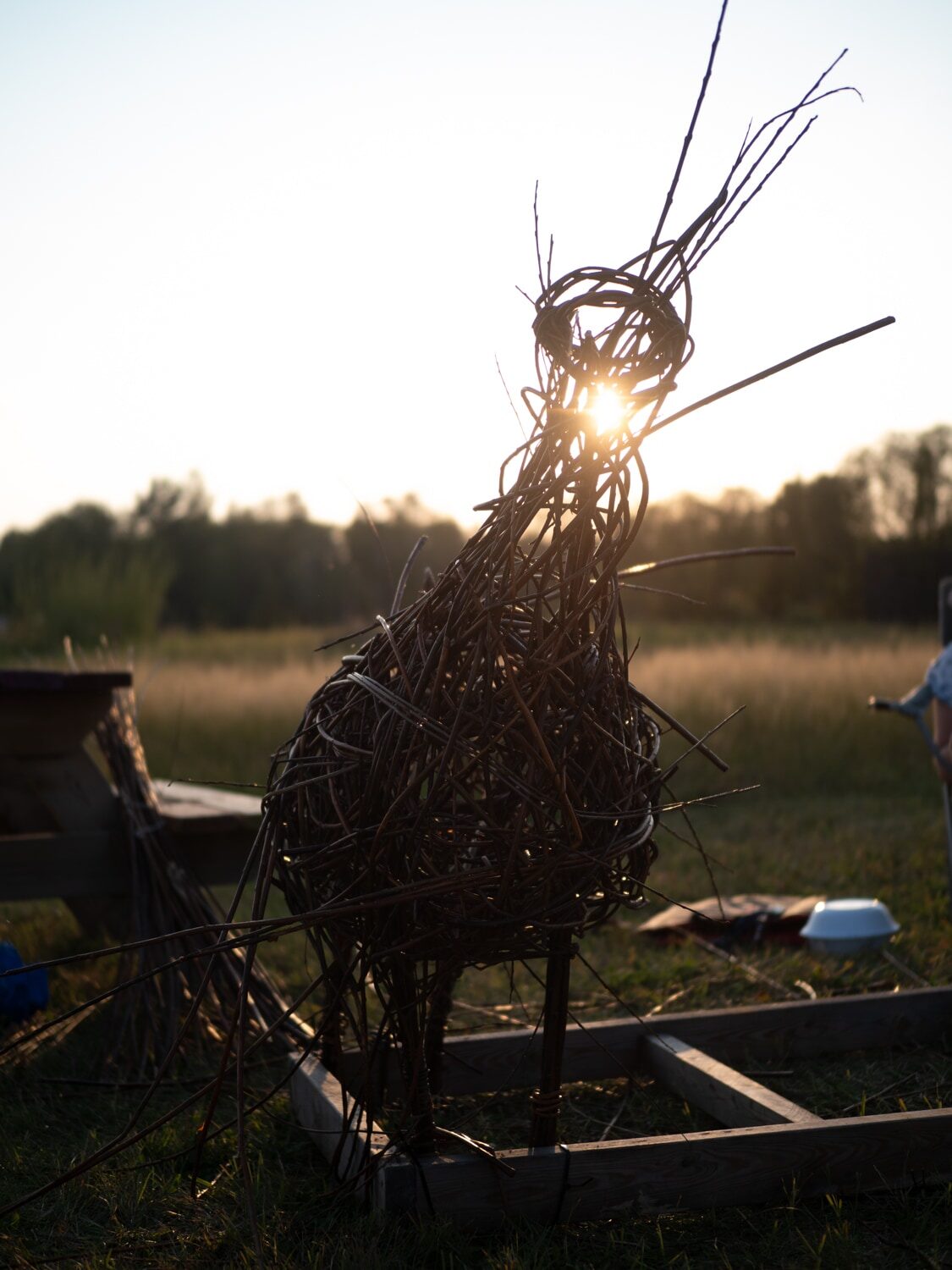 The finished willow goat in silhouette against the setting sun