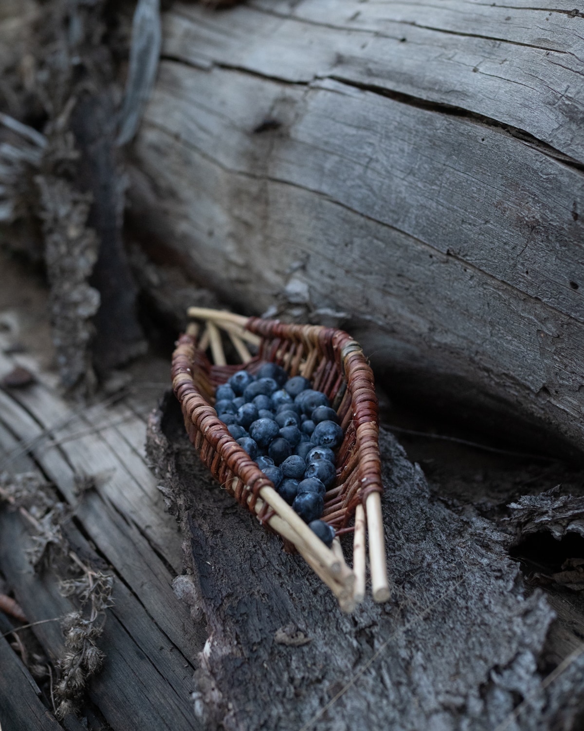 A shallow woven willow berry boat