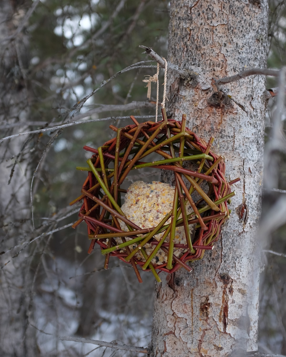 A woven willow suet bird feeder